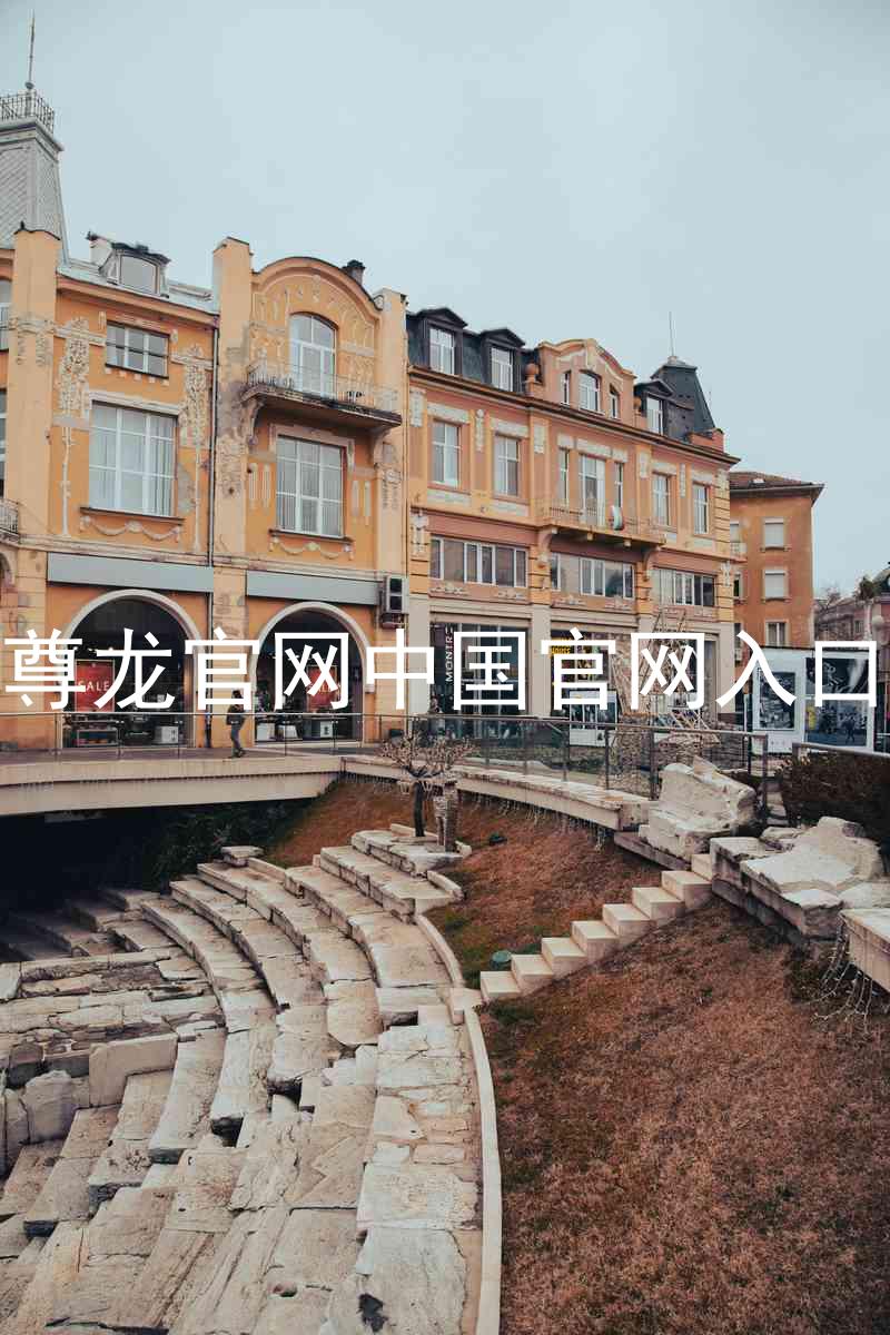 尊龙官网中国官网入口
