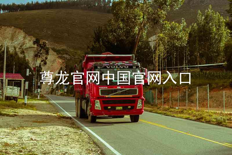 尊龙官网中国官网入口