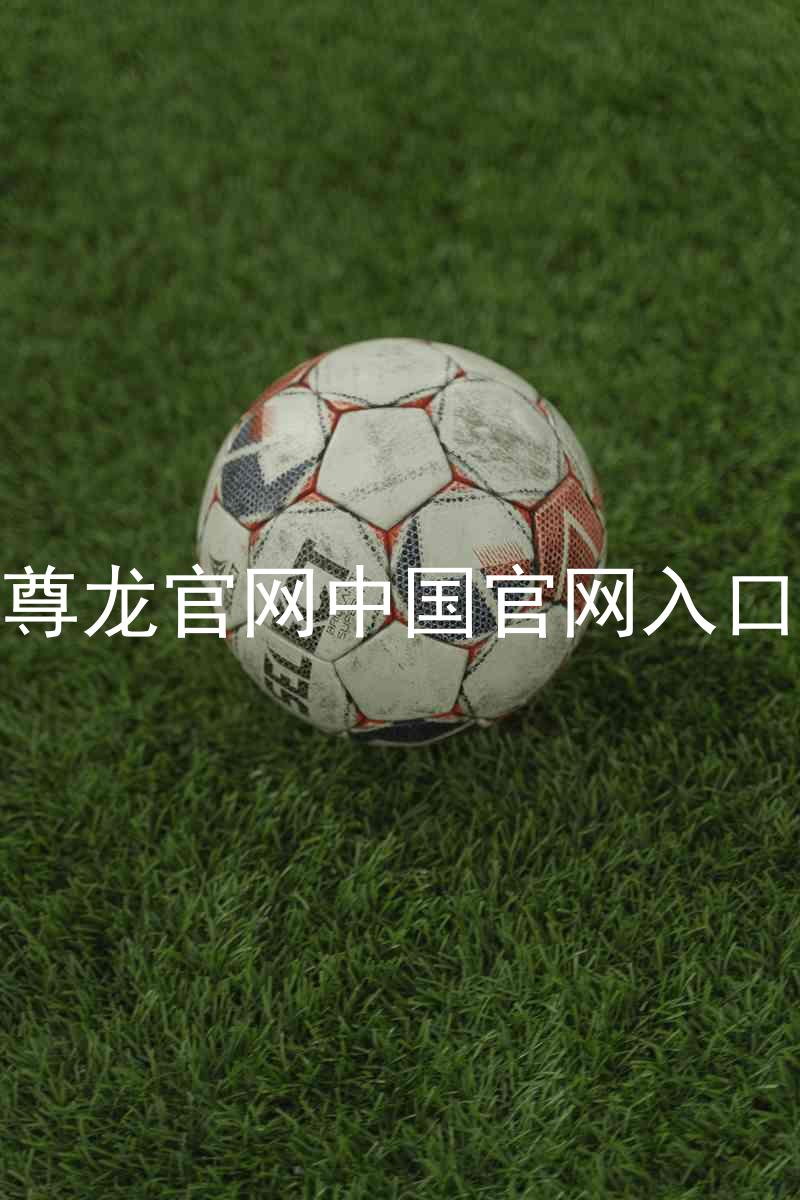尊龙官网中国官网入口