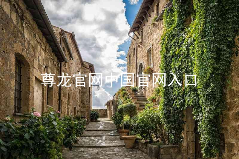尊龙官网中国官网入口
