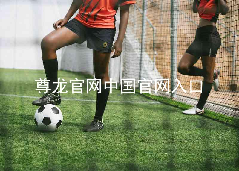 尊龙官网中国官网入口